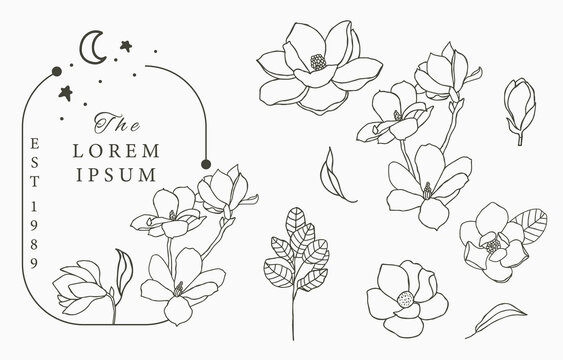 Beauty occult logo collection with geometric,magnolia,moon,star,flower.Vector illustration for icon,logo,sticker,printable and tattoo