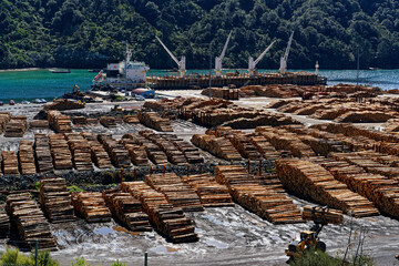 Pine tree logs being loaded onto a ship for export at Shakespeare Bay, Waimahara Wharf, Port...