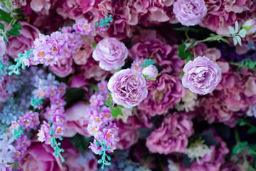 Fototapeta premium Closeup image of beautiful flowers wall background with amazing colorful roses. Top view