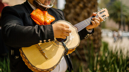 Mariachi Playing a Mexican Vihuela with a Blurry Palm Tree as Background