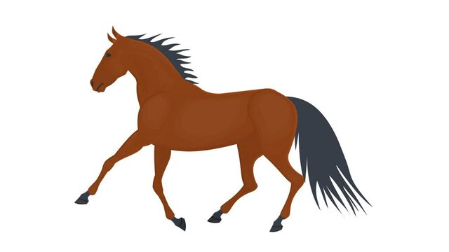 Horse. Running horse animation, alpha channel enabled. Cartoon