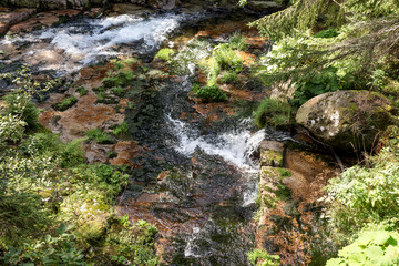 Wonderful landscape with moss and stones in the mountain river. Natural background