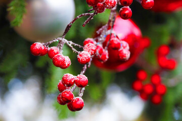 Fototapeta na wymiar Christmas holiday decoration background, close-up. Red berries, xmas tree balls toys on christmas tree