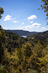 A glimpse of Wairoa Reservoir, Hunua Ranges