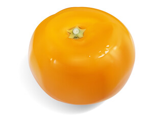 みかん/マンダリンオレンジ/透明背景