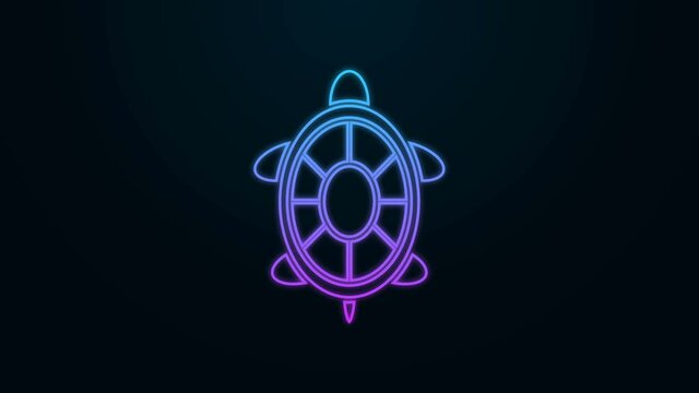 Glowing neon line Turtle icon isolated on black background. 4K Video motion graphic animation.