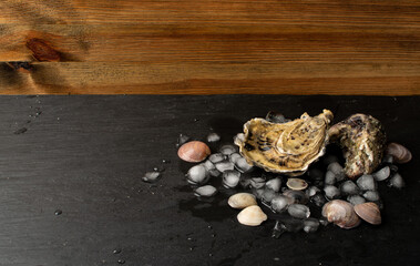 Fototapeta na wymiar Fresh Oysters, Molluscs and Mussels in Seafood Restaurant