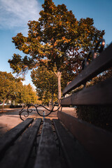 Bench in the autumn park - obrazy, fototapety, plakaty