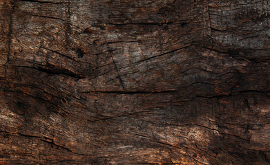 Obraz premium wooden background. the surface of an old log.