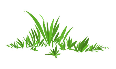 Fototapeta na wymiar Simple stylized green grass