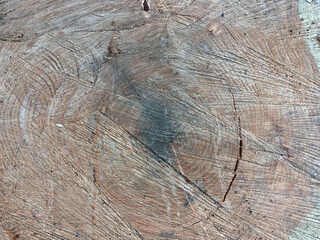 beautiful dark background texture saw cut of old wood