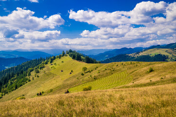 Naklejka premium Wonderful landscape of Ukrainian Carpathian mountains. Summer time