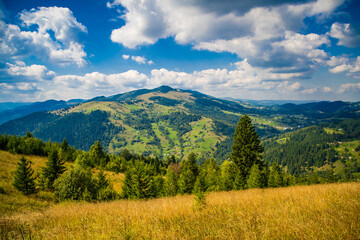 Ukrainian Carpathian mountains in summer sunny day