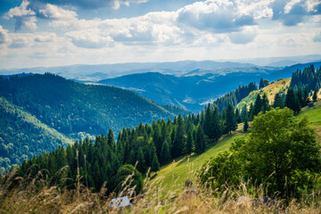 Obraz premium Beautiful mountain landscape in the summer time. Carpathian mountains, Ukraine