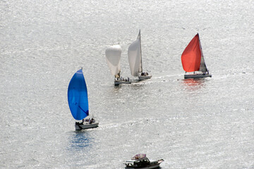 Sailing race in bosphorus cup in Istanbul
