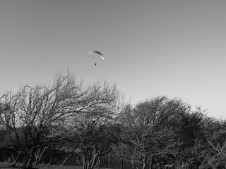 Silouette of hang glider flying in clear skies over winter trees