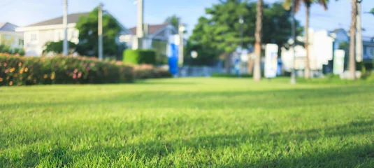 Fotobehang Vervagen de achtergrond van gazon en gras in de tuin. Dat is een landschapsontwerp door versiering en decoratie van lege ruimte met groen veld, bloem, struik of struik. Gebruik voor recreatie van woonwijk. © DifferR