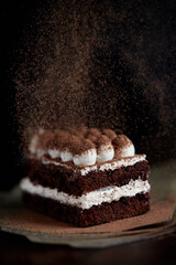 Delicious classic italian tiramisu dessert on dark background, gluten free