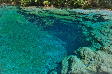 The eye of a grasshopper.  Vusanje. Plav