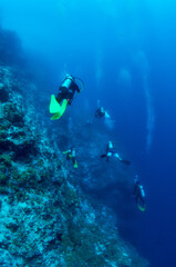 Fototapeta na wymiar Divers diving in the drop-off