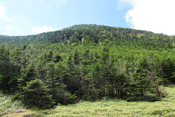 初秋の北八ヶ岳　縞枯山荘から縞枯山を望む