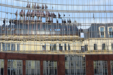 Fototapety na wymiar - Fototapeta24.pl