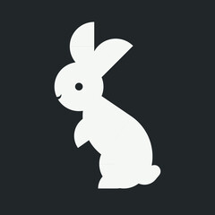 white rabbit on black background