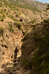 The scary hiking path El Caminito Del Rey and the stunning town of Ronda in Spain