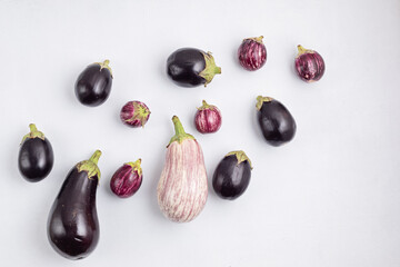 Organic eggplant crop. Buy local concept. Sustainable, plastic free, zero waste lifestyle