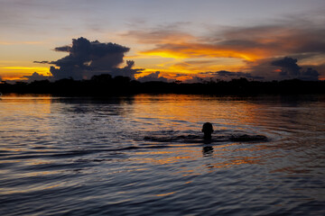 Sunset in the amazon river