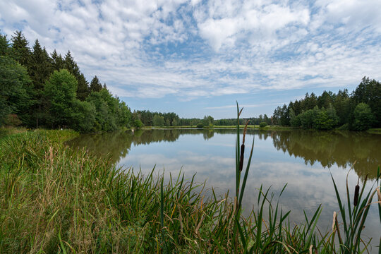 Plothener Teiche