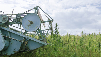 Hemp combine harvester collecting Cannabis for Cbd Cannabidiol used in many health benefits.