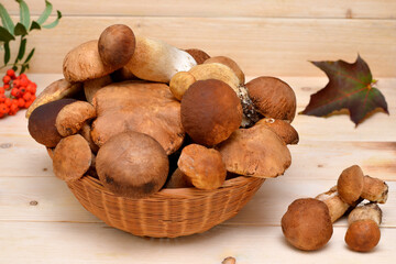 full basket with white forest mushrooms on a light background