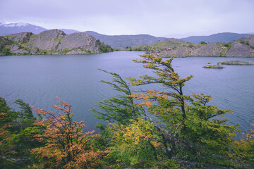 Crooked trees and lake in autumn