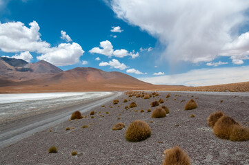 Laguna Chulluncani in Bolivia altiplano