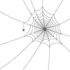 Spider web concept