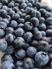 blueberries in a bowl