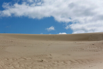 Sand dunes background a blue cloudy sky on the Curonian Spit in Lithuania