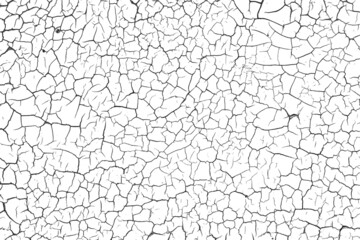 Crackle paint overlay. Vector black and white  grunge pattern made from natural oil paint crackle. Cool texture of cracks, stains, scratches, splash, etc for print and design. EPS10.