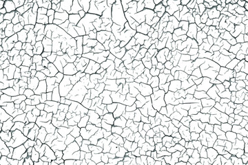 Crackle paint overlay. Vector black and white  grunge pattern made from natural oil paint crackle. Cool texture of cracks, stains, scratches, splash, etc for print and design. EPS10.