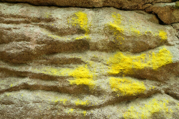 The detail of the lichen on the rocks. 