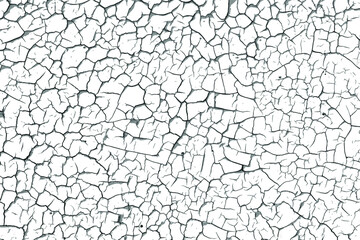 Crackle paint overlay. Vector black and white  grunge pattern made from natural oil paint crackle. Cool texture of cracks, stains, scratches, splash, etc for print and design. EPS10.