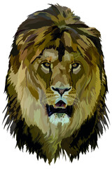 vector image of an animal head, the king of beasts lion on a white background
