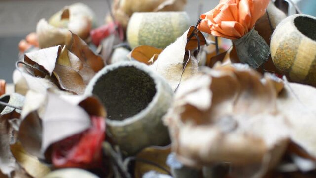 Many ornamental dry plants and flowers switching focus.