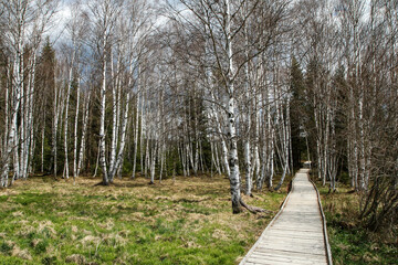 Fototapeta premium The picture from the protected area in Czech Republic called 