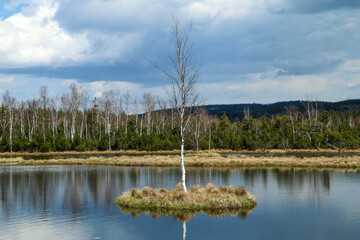 The protected natural area in Šumava national park