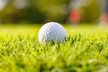 新緑のゴルフ場