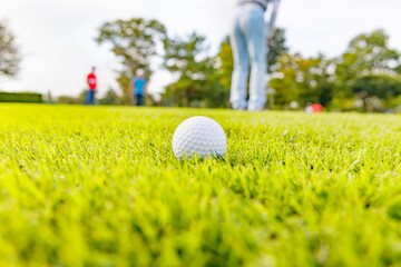 新緑のゴルフ場