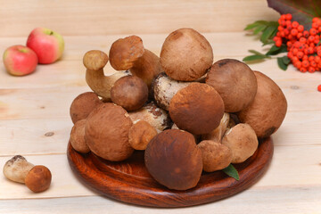 autumn still life boletus on a wooden board and apples and rowan