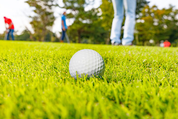 新緑のゴルフ場